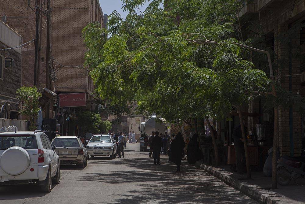 درختکاری خیابان‌ها و معابر کربلا یکی از پروژه‌های مهم آستان مقدس عباسی