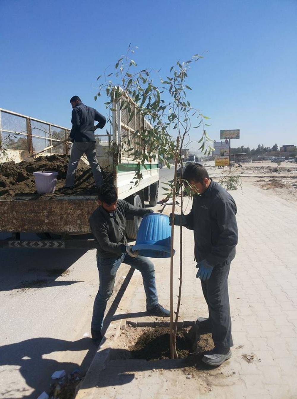 درختکاری خیابان‌ها و معابر کربلا یکی از پروژه‌های مهم آستان مقدس عباسی