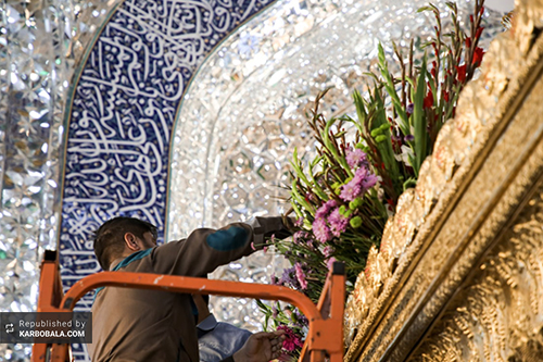 گل‌آرایی حرم مطهر علوی / گزارش تصویری