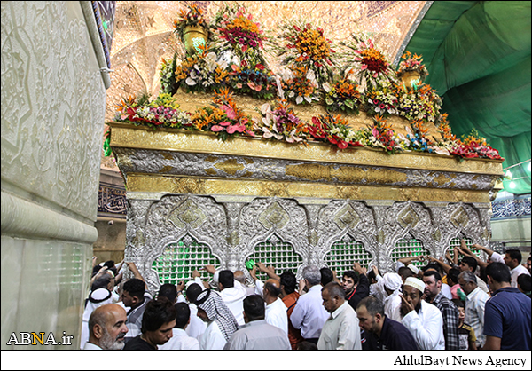 گل آرایی حرم مطهر امام حسین /گالری تصاویر