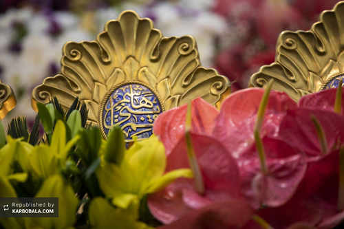 گل‌آرایی آستان حضرت ابالفضل (ع)/ گزارش تصویری